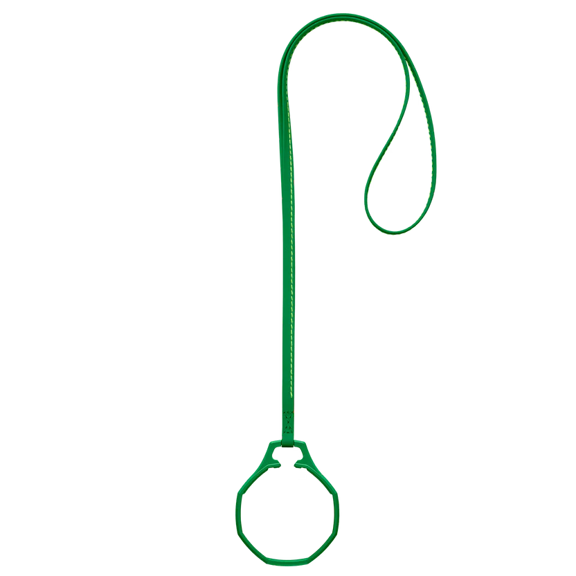 Lanyard Royal Pop Green Eight™
